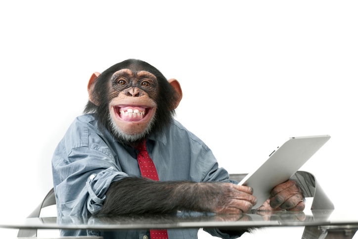 Monkey beats man on stock market picks